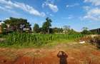 1.25 ac Land in Nyari - 7