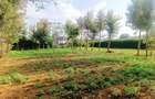 500 m² Residential Land at Nairobi Ndogo Estate - 10