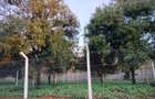 Land in Thika - 4