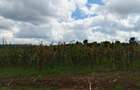 0.5 ac Land in Tigoni - 3