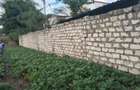 0.25 ac Land at Ls221 - 2