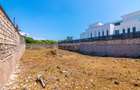 0.25 ac Land at Mama Ngina Drive - 10