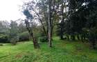Residential Land at Lavinhton Area - 8