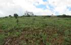 4.5 ac Land at Kibiko - 6