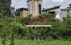 0.125 ac Residential Land at Ol Keri - 15