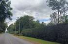 Residential Land at Paradise Lost/Mhasibu - 7