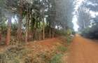 0.75 ac Land at Thindigua - 8