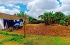 500 m² Residential Land at Musa Gitau - 9
