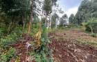 0.42 ac Residential Land at Kirawa Road - 8