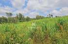 5.12 ac Land in Limuru - 3