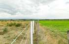 505 m² Commercial Land at Gakawa - 5