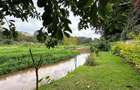 5 Bed House in Gigiri - 16