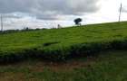 31 ac Land at Limuru Road - 4