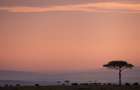 Commercial Property with Electric Fence at Maasai Mara - 7