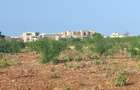 Land at Vipingo - 7