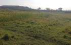 5 ac Land in Thika - 5
