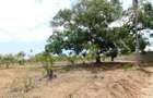 10,000 ft² Land in Vipingo - 2