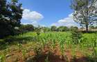 Residential Land in Runda - 5