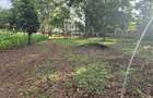 Land in Thigiri - 4