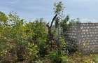 Land in Kilifi - 1