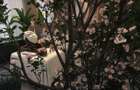 2 Bed House with En Suite in Westlands Area - 7