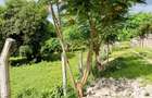 Land at Mtwapa - 1