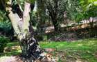 0.75 ac Land in Riverside - 2