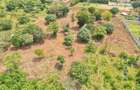 1 ac Land at Diani Airport Road - 3