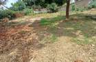 Land in Kilimani - 1