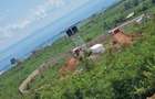 0.045 ha Residential Land at Riat - 13