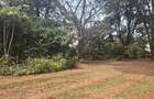 Land at Off Ridgeways/Kiambu Rd - 5