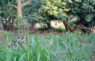 Land at Lower Kabete Road - 5