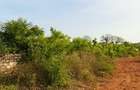 Land in Diani - 8