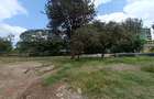 4 ac Commercial Land at Mirema Drive - 9