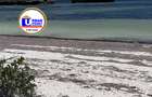Land in Watamu - 9