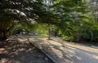 Commercial Land in Diani - 8