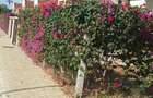 4 Bed Townhouse with En Suite at Mt Kenya - 6