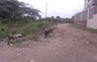 0.25 ac Residential Land at Maasai Lodge Road - 7