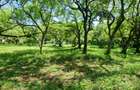 2.5 ac Land at Serena - 5