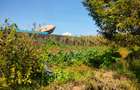 0.5 ac Land in Tigoni - 2
