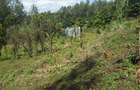 0.25 ac Residential Land in Ngong - 9