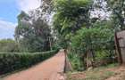 0.5 ac Land at Nandi Road - 6