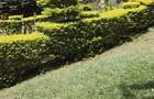 0.75 ac Land in Lavington - 4