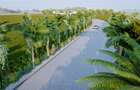 Land in Vipingo - 3
