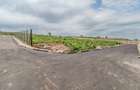 Land at Limuru Road - 18