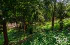 1 ac Land at Muthaiga Road - 2