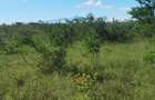 57 ac Land in Nanyuki - 6