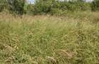 2 ha Land at Malindi -Lamu Highway - 6