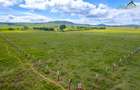 0.25 ac Land in Naivasha - 4