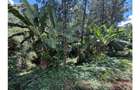 0.6 ac Land at Kitisuru Road - 3